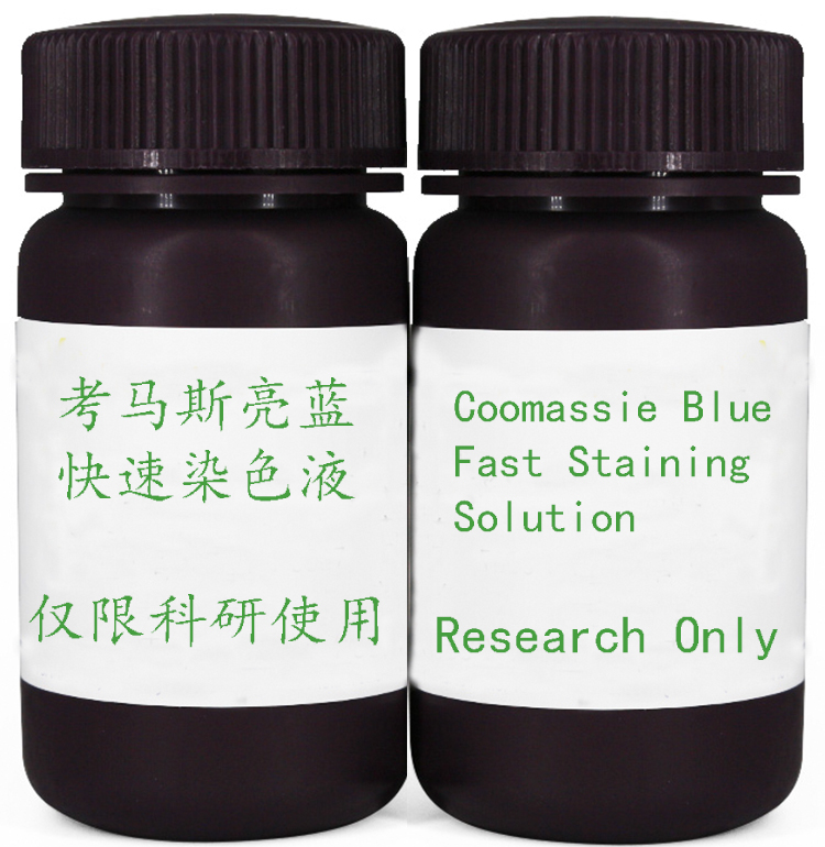 Ʒ ٷ ˹ȾɫҺ Coomassie Blue