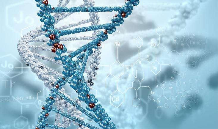 Protein Modification and Detection Services