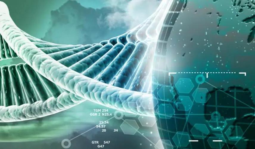 Protein Purification Service