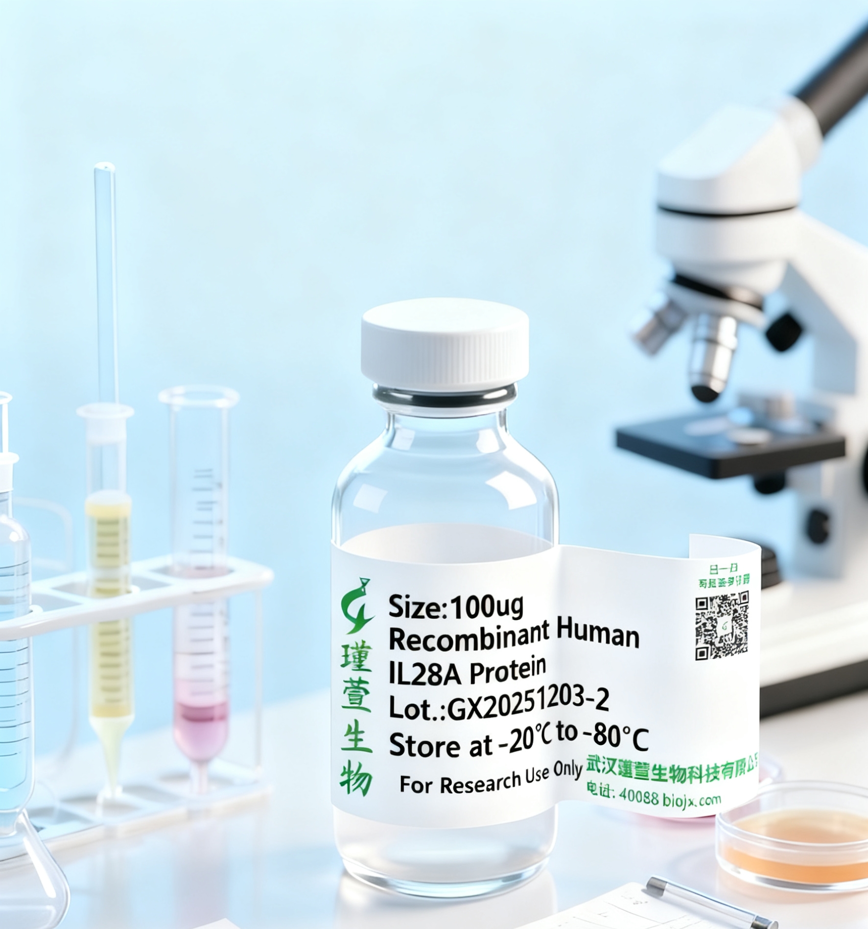 Recombinant Rat LENEP Protein