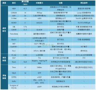 标签的作用和简介